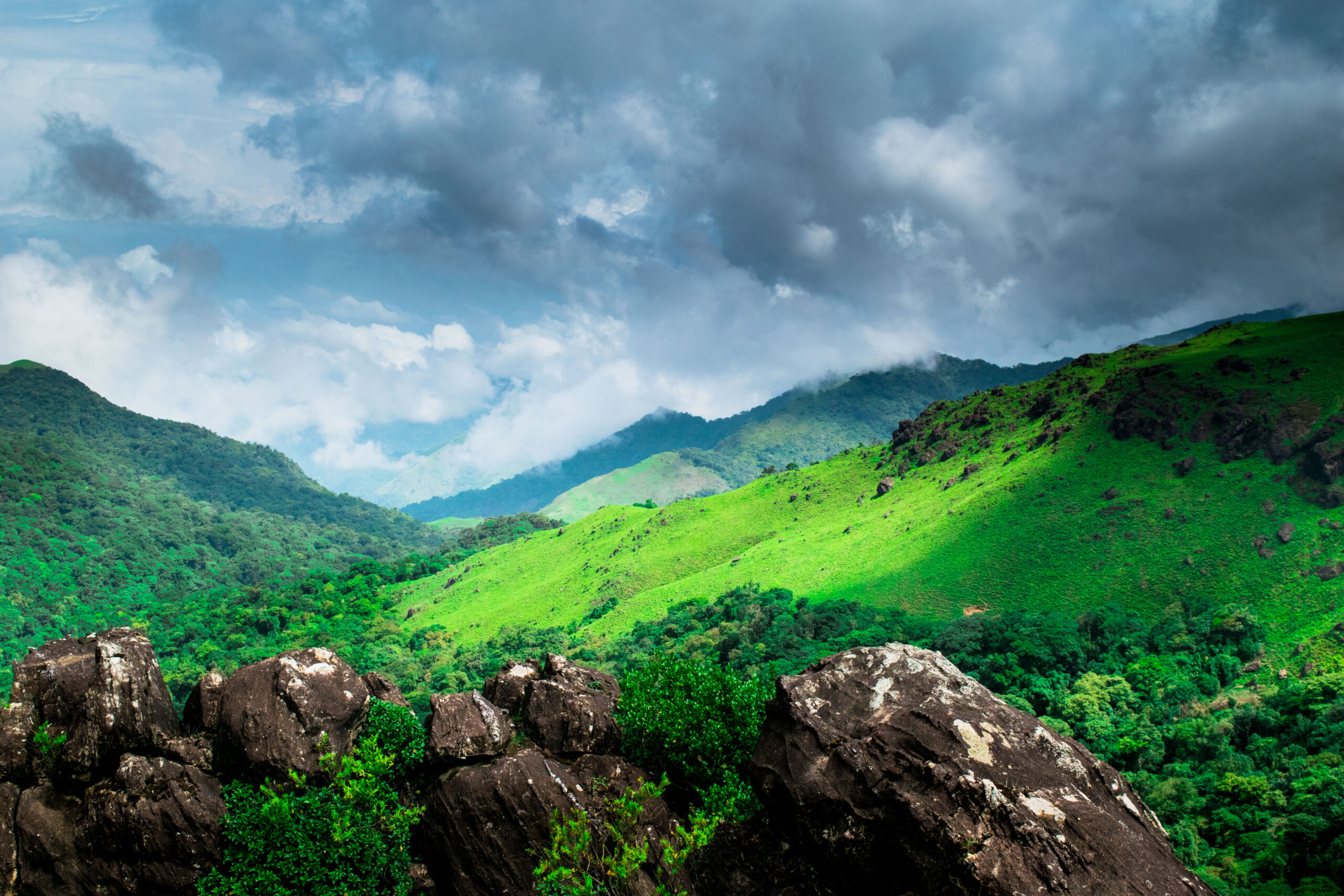 Tadiandamol_Valley,_Western_Ghats
