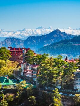 Shimla