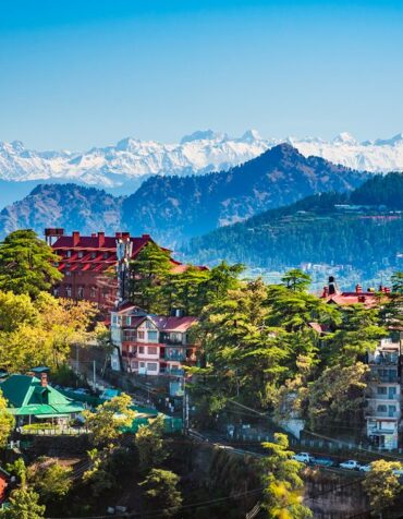 Shimla